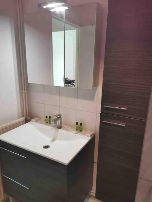 בורג-אן-ברס Charmant Appartement Au Calme מראה חיצוני תמונה